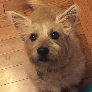 Meet your Posher, Zandi